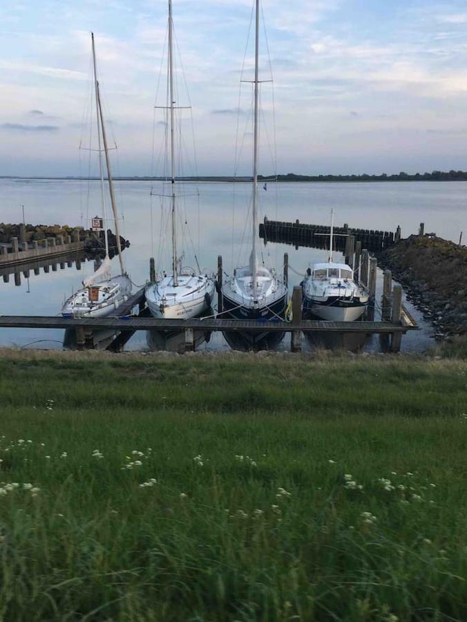 Vakantiehuisje In Ouddorp Dichtbij Het Strand Exteriör bild