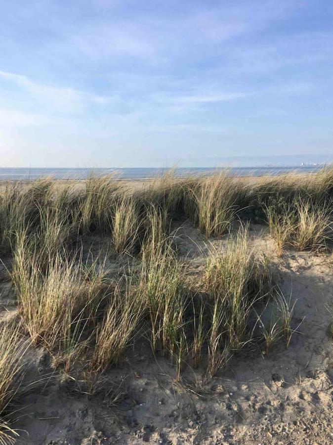 Vakantiehuisje In Ouddorp Dichtbij Het Strand Exteriör bild